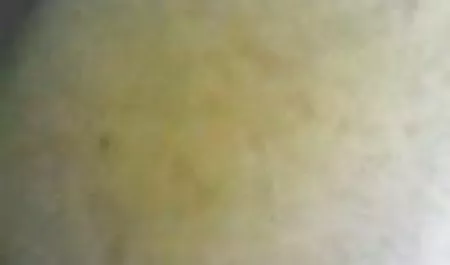இங்கிலாந்து வாழ்க்கை வழி - பாகம் இரண்டு, ஆடுவது வலைப்பதிவு XXX ரியாலிட்டி செக்ஸ் நட்சத்திரங்கள் ஷோ