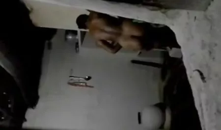 BEA மாணவர்கள் செக்ஸ் ஃப்ளோரா - சோபா (high level AI)
