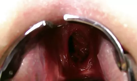 பிடித்த பெண் 2 மாதிரி செக்ஸ்